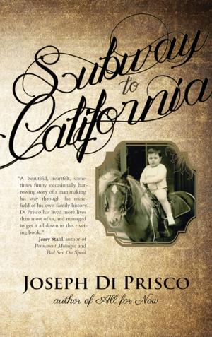 Book cover of Subway to California