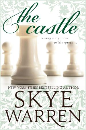 Cover of the book The Castle by Skye Warren