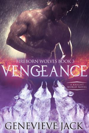 Cover of the book Vengeance by Adam Graham
