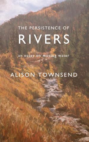 Cover of the book The Persistence of Rivers by Julie Fitz-Gerald