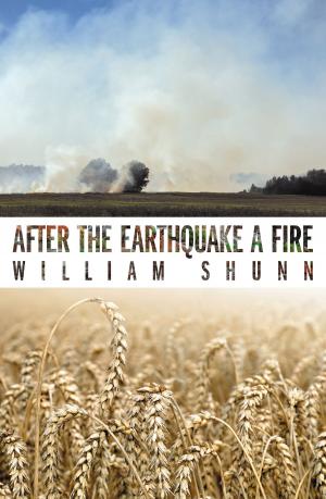 Cover of the book After the Earthquake a Fire by Renee Allen McCoy