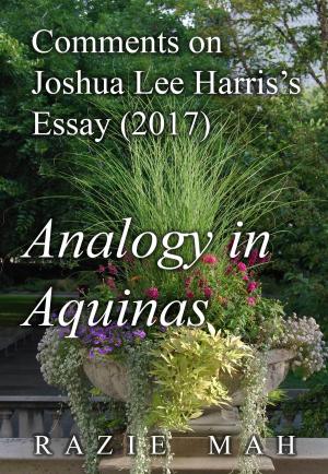 Cover of Comments on Joshua Lee Harris’s Essay (2017) Analogy in Aquinas