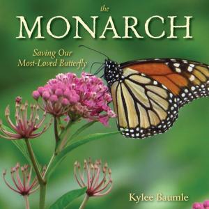 Cover of the book The Monarch by Lisa Mason Ziegler