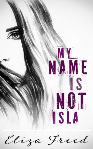Cover of the book My Name Is Not Isla by Jane Porter