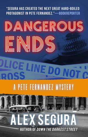 Cover of the book Dangerous Ends by Vincent Zandri