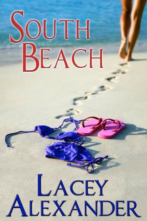 Cover of the book South Beach by Courtney Herz