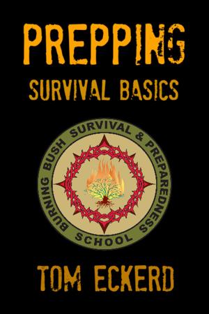 Cover of the book Prepping: Survival Basics by Patrick Baldwin, Maria Cruz
