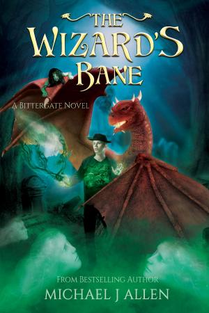 Cover of the book The Wizard's Bane by J.M. Madden