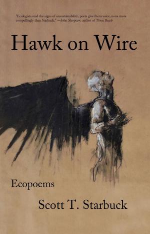Cover of Hawk on Wire
