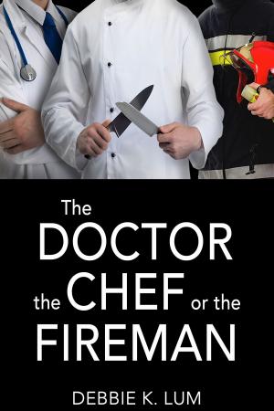 Cover of the book The Doctor, the Chef or the Fireman by Stacey Nash
