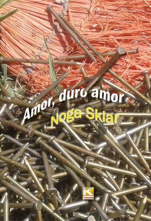 Cover of the book Amor, duro amor by Noga Sklar