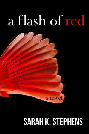 Cover of the book A Flash of Red by Alisse  Lee Goldenberg