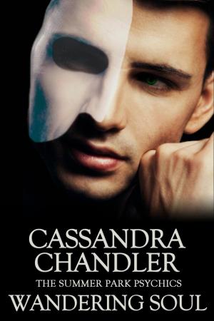 Cover of the book Wandering Soul by Cassandra Chandler