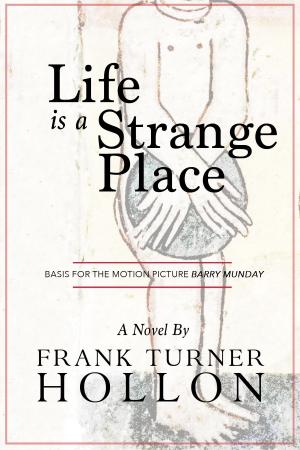 Cover of the book Life is a Strange Place by Bryan Furuness