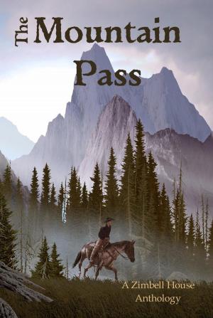 Book cover of The Mountain Pass