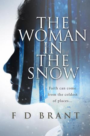 Book cover of The Woman in the Snow