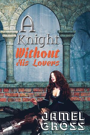 Cover of A Knight Without His Lovers