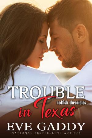 Cover of the book Trouble in Texas by Karen Gordon