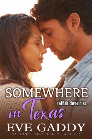 Book cover of Somewhere in Texas