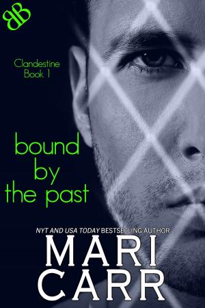 Cover of the book Bound By the Past by Larissa Reinhart