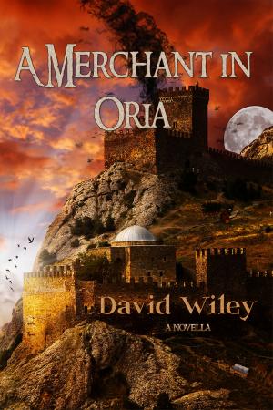Cover of the book A Merchant in Oria by Heidi Angell