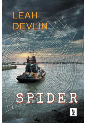 Cover of the book Spider by Yehya H. Safwat