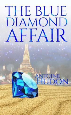 Cover of the book The Blue Diamond Affair by Bhavna Khemlani