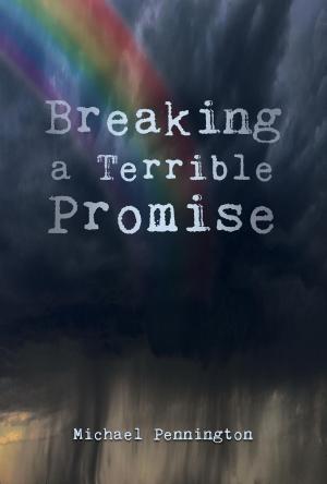 Cover of the book Breaking a Terrible Promise by Charles Dechert
