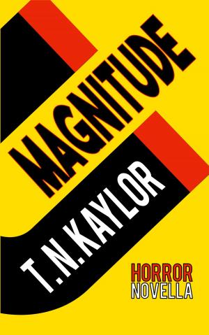 Book cover of Magnitude