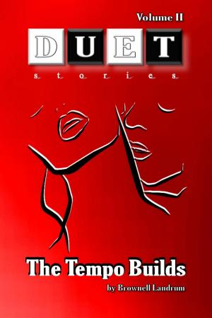 Cover of the book The Tempo Builds by Vimal Sehgal