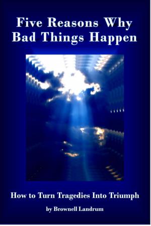 Book cover of Five Reasons Why Bad Things Happen