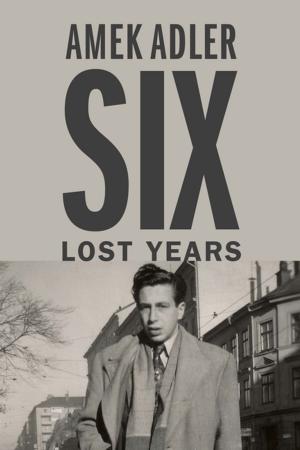 Cover of the book Six Lost Years by Kitty Salsberg, Ellen Foster