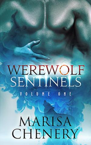 Cover of the book Werewolf Sentinels-Volume One by Sue Mercury, Sue Lyndon
