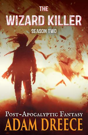 Book cover of The Wizard Killer - Season 2