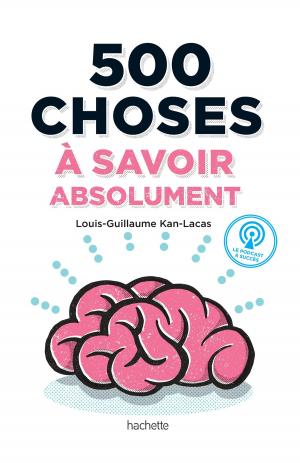 Cover of the book 500 choses à savoir absolument by Stéphan Lagorce