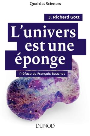 Cover of the book L'univers est une éponge by Jacques Salzer, Arnaud Stimec