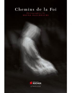 Cover of the book Les chemins de la foi by Hervé Legrand, Yann Raison du Cleuziou