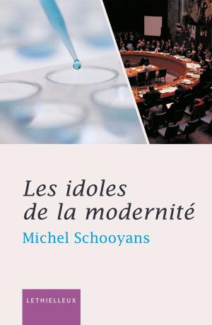 Cover of the book Les idoles de la modernité by Charles Journet