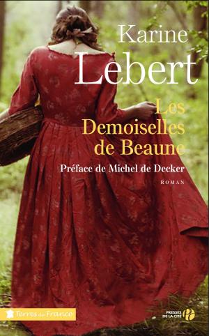 Cover of the book Les demoiselles de Beaune by Vincent CROUZET