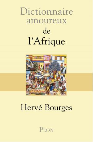 Cover of the book Dictionnaire amoureux de l'Afrique by Gérard BOUTET