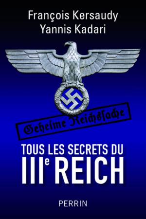 Book cover of Tous les secrets du IIIe Reich