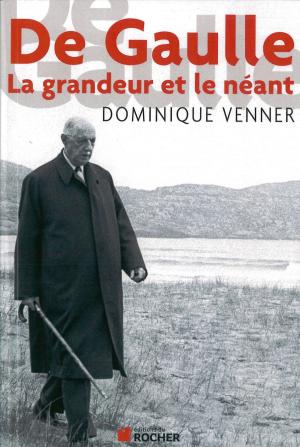 Cover of the book De Gaulle la Grandeur et le Neant by Bernard Brigouleix, Michèle Gayral