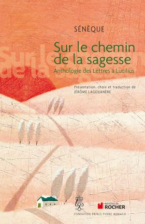 Cover of the book Sur le chemin de la sagesse by Eugène Green