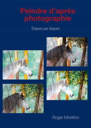 bigCover of the book Peindre d'après photographie by 
