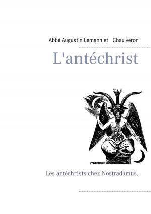 Cover of the book L'antéchrist by Heike Boeke