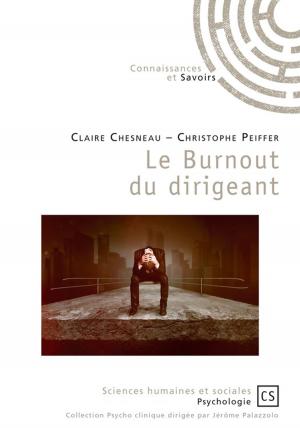 Cover of the book Le Burnout du dirigeant by Sylvie Classe