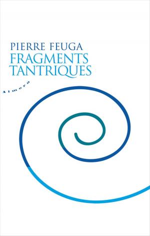 Cover of the book Fragments tantriques by Philippe Bertrand