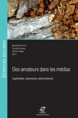 Cover of Des amateurs dans les médias