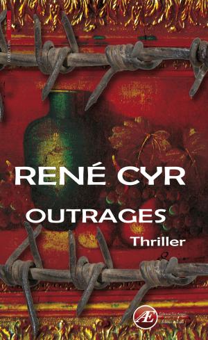 Cover of the book Outrages by Suzanne Max