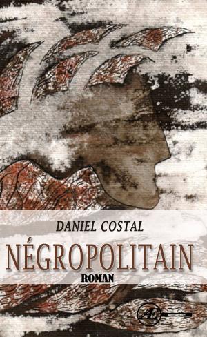 Cover of the book Négropolitain by CC LeBlanc
